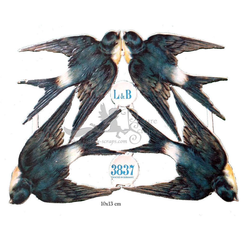 L&B 3837 swallows.jpg