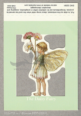 mamelok ewc 02391 the daisy fairy.jpg
