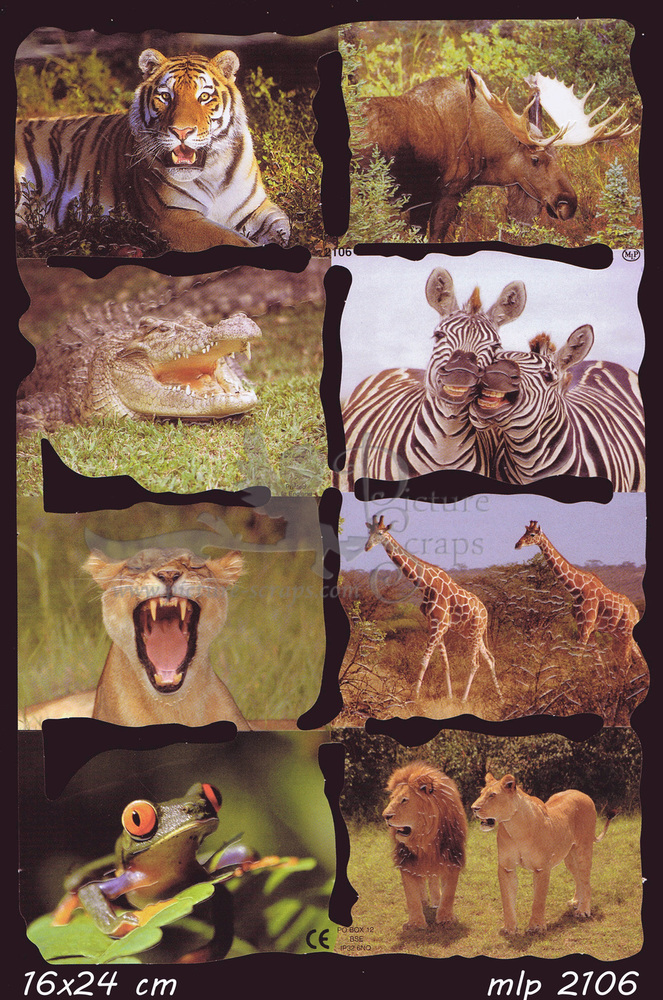MLP 2106 Wild animals.jpg
