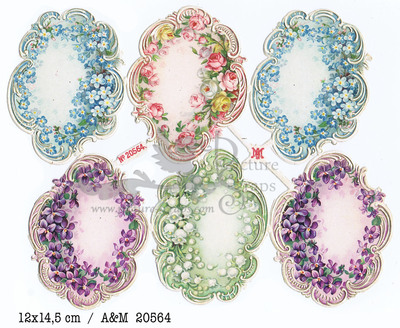 Albrecht & Meister 20564 labels with flowers.jpg