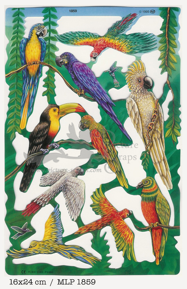 MLP 1859 tropical birds.jpg