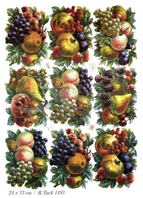 R.Tuck 1193 fruits.jpg