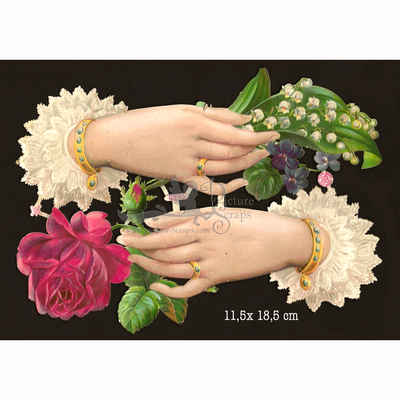 Albrecht & Meister 6025 hands and roses.jpg