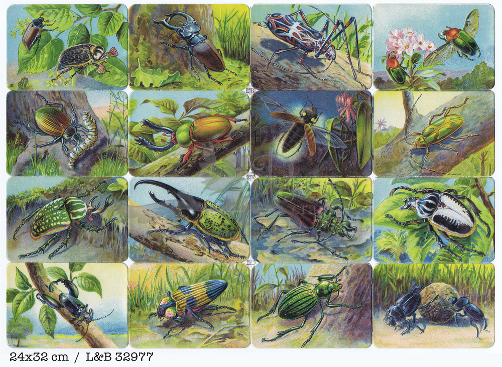 L&B 32977 insects square educational scraps.jpg