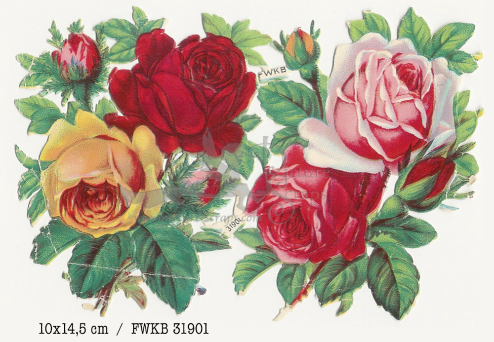 FWKB 31901 roses.jpg