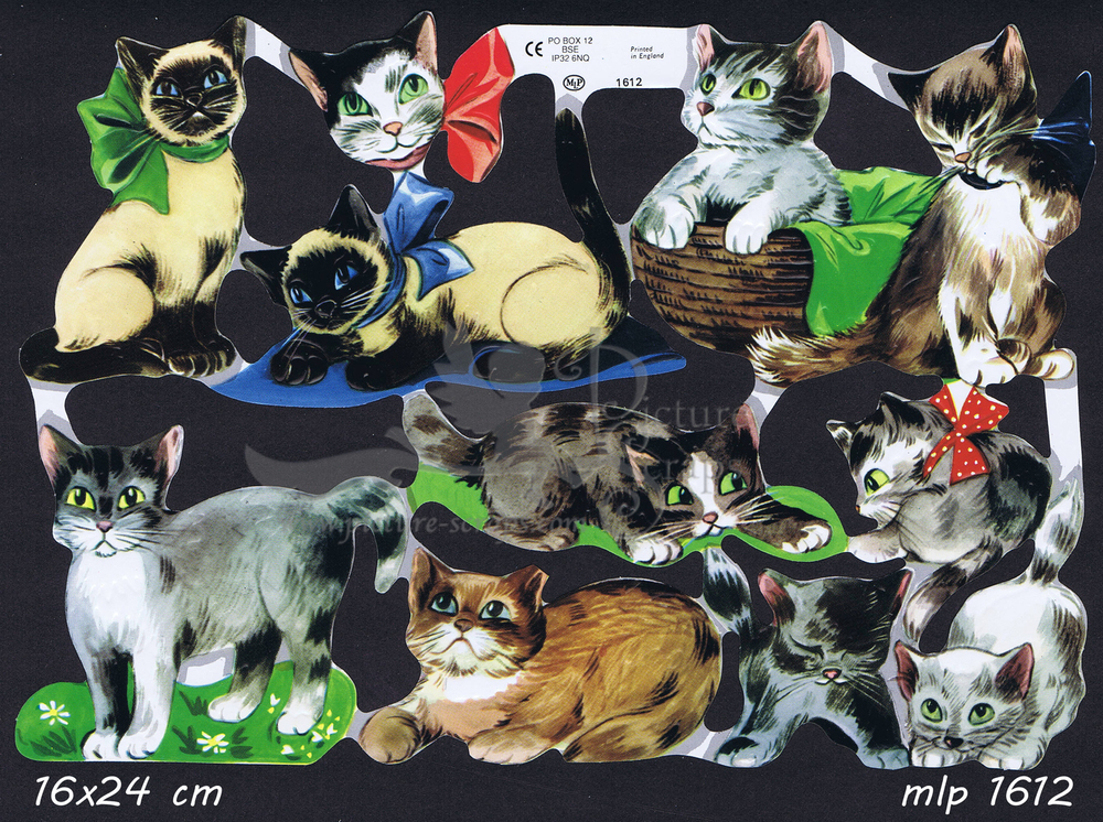 MLP 1612 cats.jpg