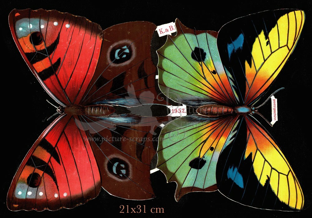 K&B 1952 Btterflies.jpg