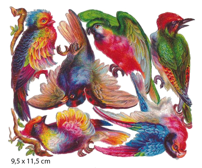 colorful birds.jpg