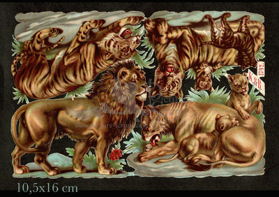 K&B 1742 Lions Tigers.jpg