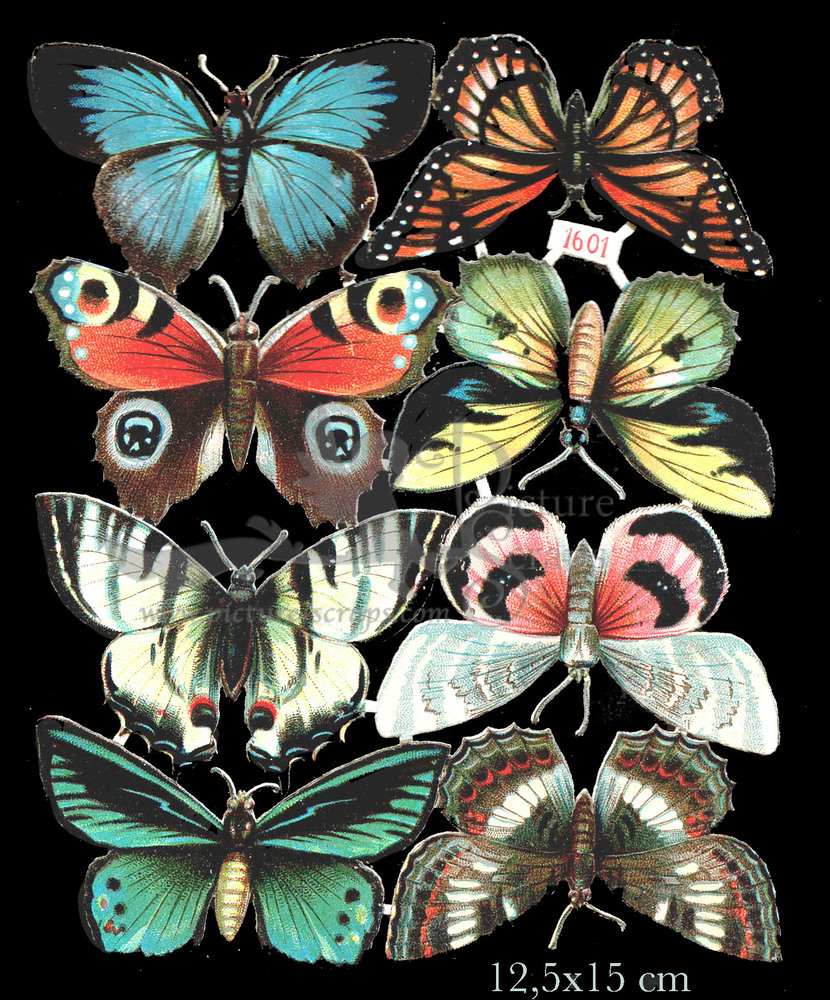 K&B 1601 butterflies.jpg