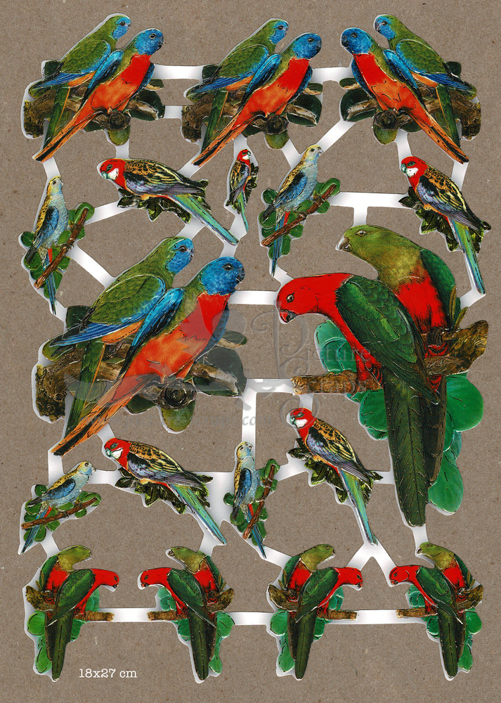 TBZ Parrots birds.jpg