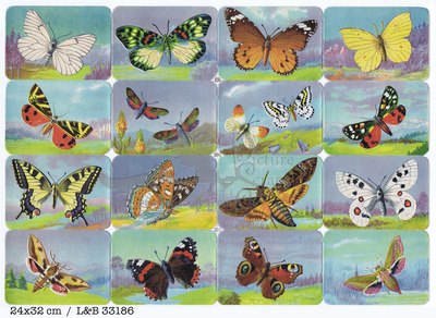 L&B 33186 butterflies square educational scraps.jpg