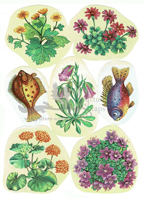 DDR RB 5 9575 fish and flowers.jpg
