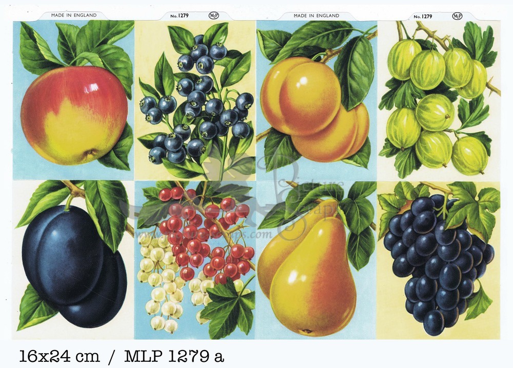 MLP 1279 a fruits.jpg