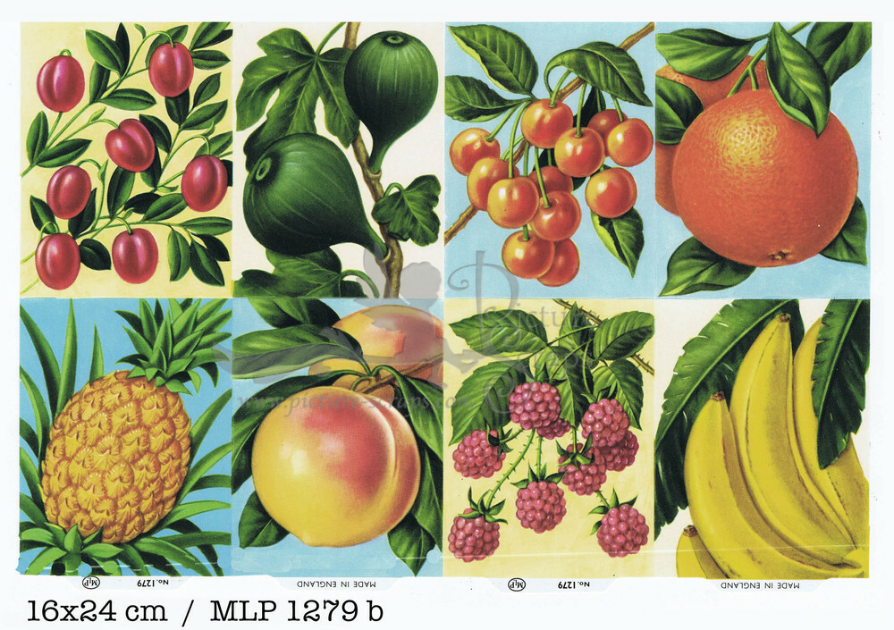 MLP 1279 b fruits.jpg