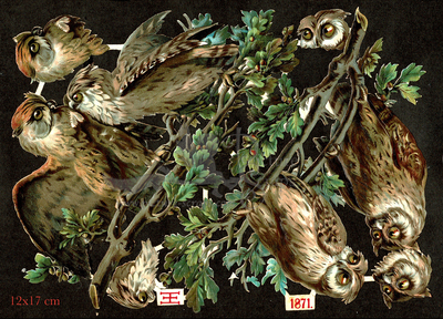 HJ 1871 owls.jpg