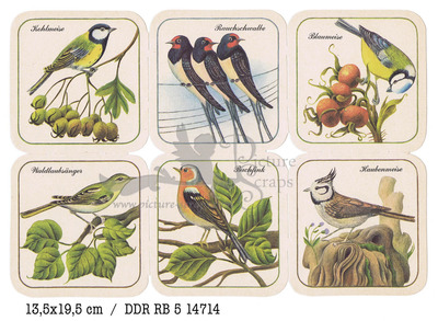 DDR RB 5 14714 birds.jpg