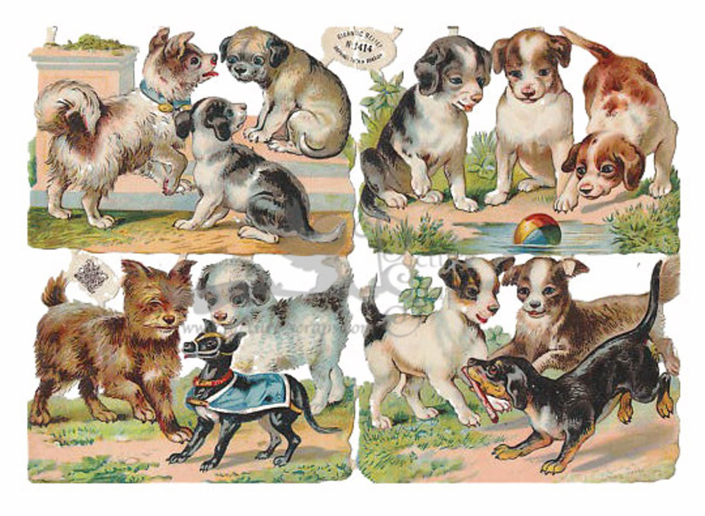 R.Tuck 1414 dogs.jpg