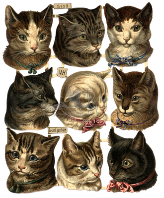 wh 5109 cats.jpg