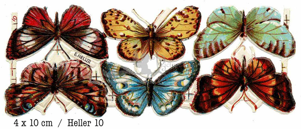 Heller 10 Butterflies.jpg