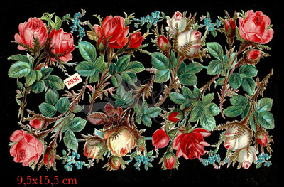 K&B 1682 roses flowers.jpg