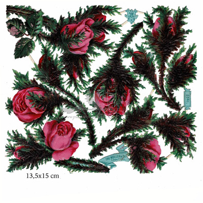 A.Radicke 5341 roses.jpg