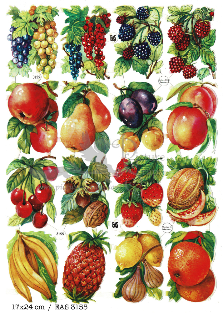 EAS 3155 fruits.jpg