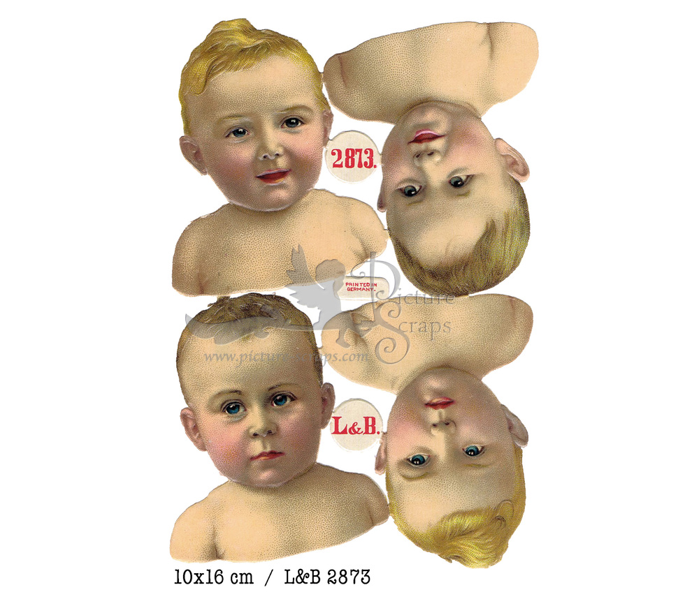 L&B 2873 baby heads.JPG