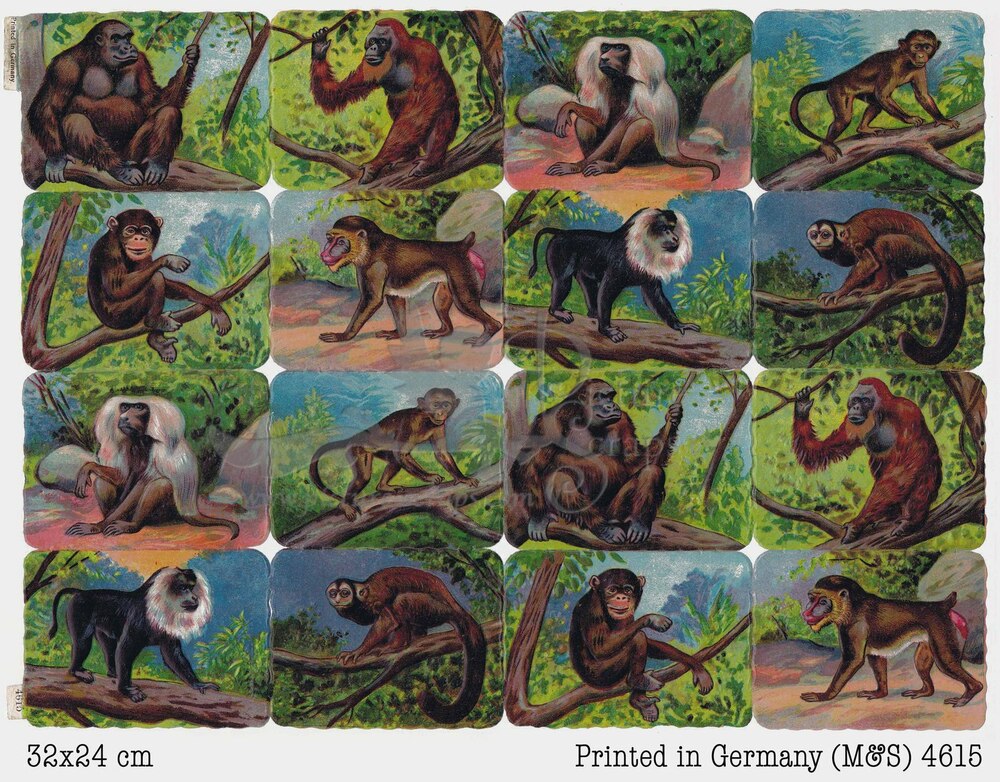Printed in Germany 4615 monkeys square educational scraps.jpg