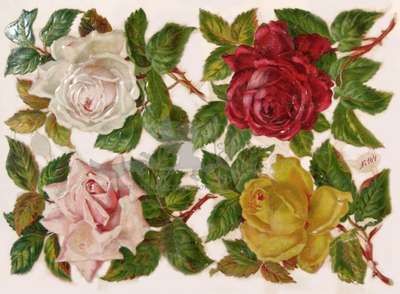 R.Tuck 164 roses.jpg