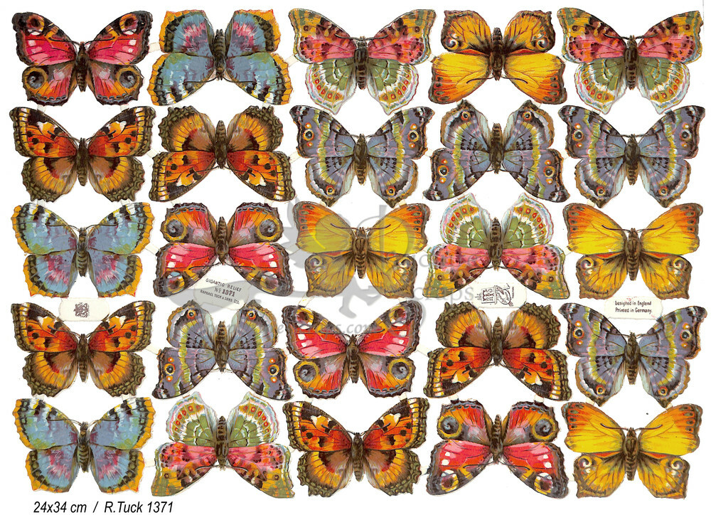 R.Tuck 1371 butterflies.jpg