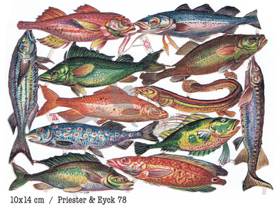 Priester & Eyck 78 fish.jpg