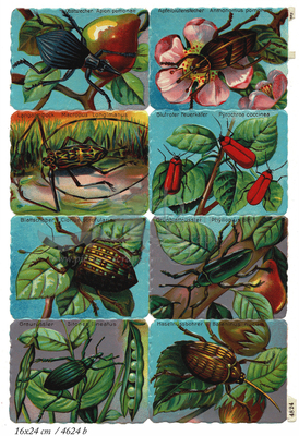 Printed in Germany 4824 b beetles square educational scraps.jpg