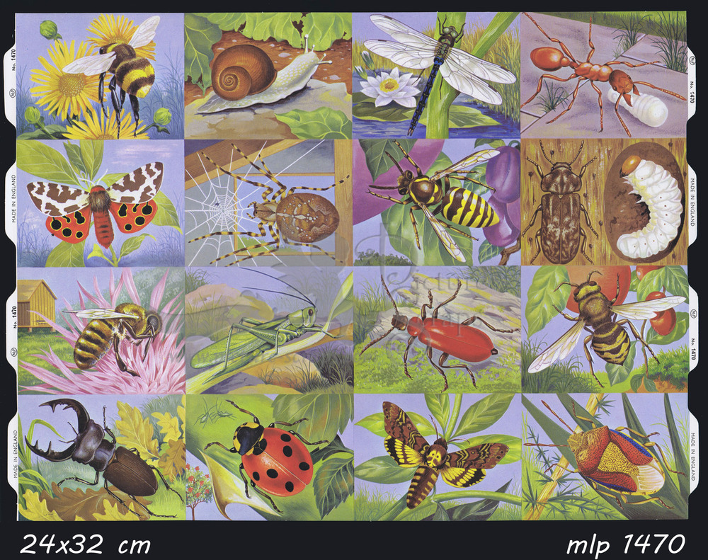 MLP 1470 fullsheet insects.jpg