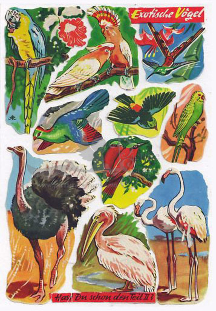 DDR 1134 exotic birds.jpg