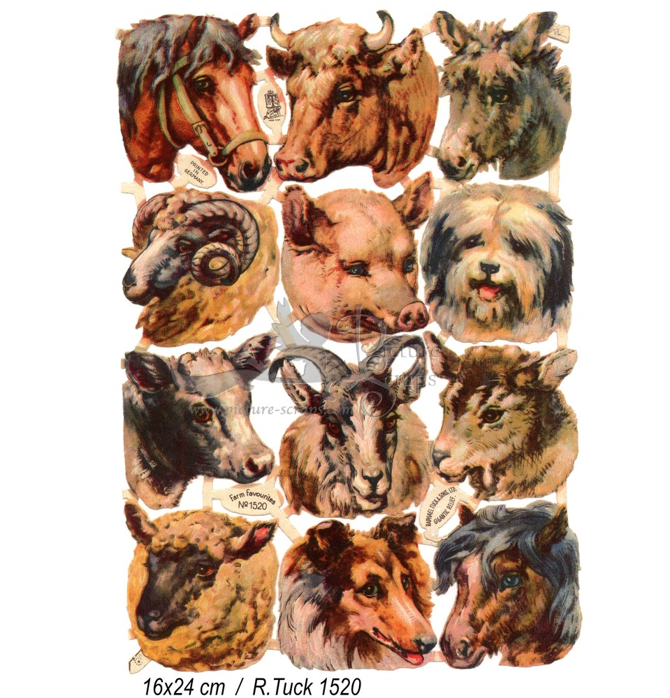 R.Tuck 1520 animal heads.jpg