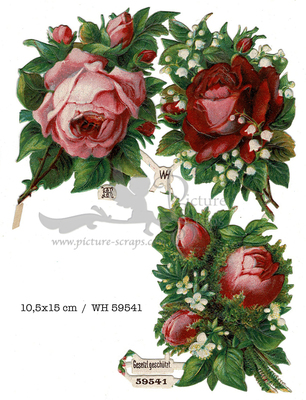 WH 59541 roses 10.5x15.jpg