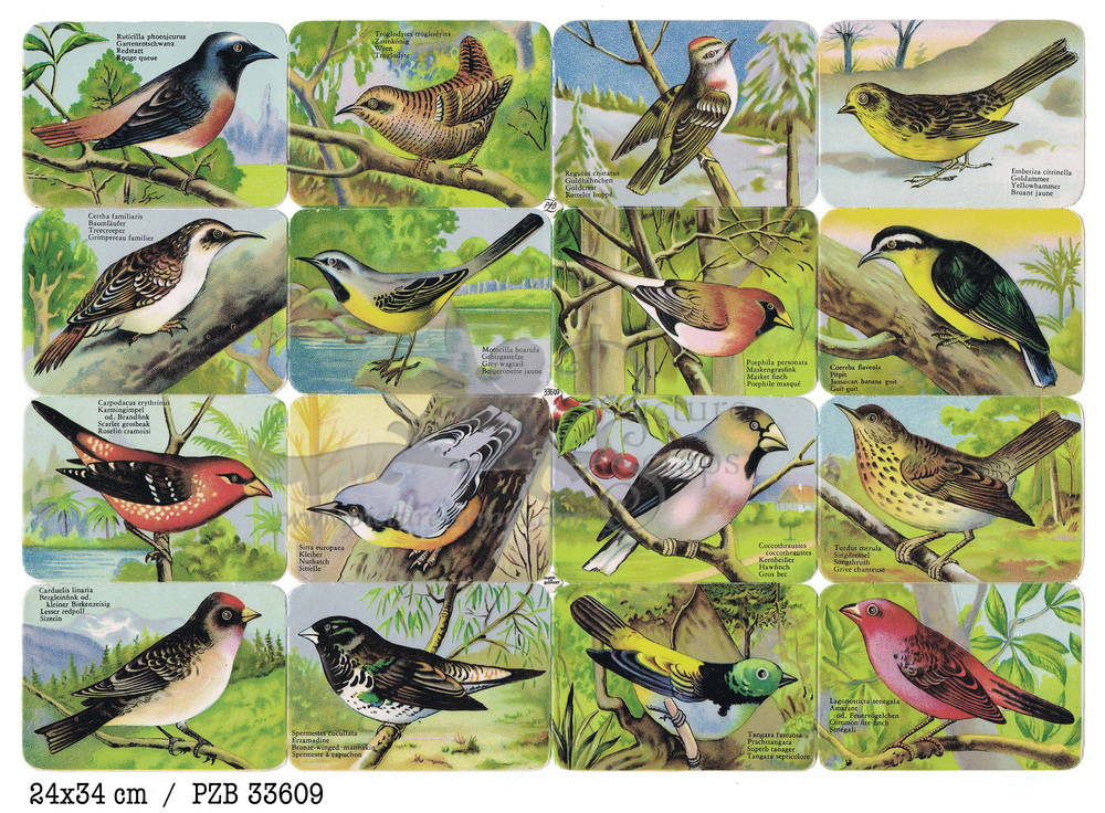 PZB 33609 full sheet birds.jpg