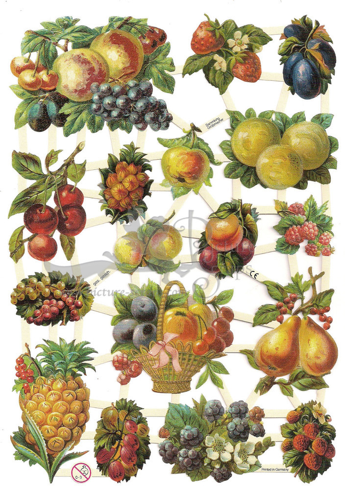 EF 7274 fruits.jpg