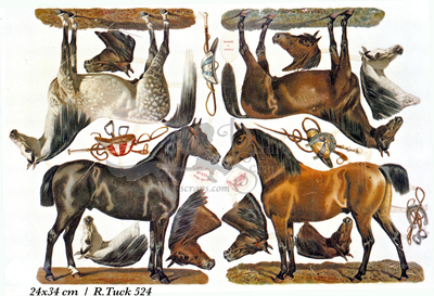 R.Tuck 524 horses.jpg