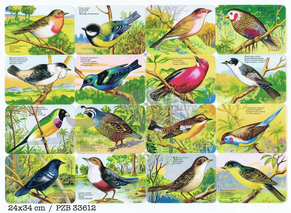 PZB 33612 full sheet birds.jpg