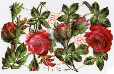 Priester & Eyck 117 roses.jpg
