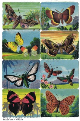 Printed in Germany 4829 a butterflies square educational scraps.jpg