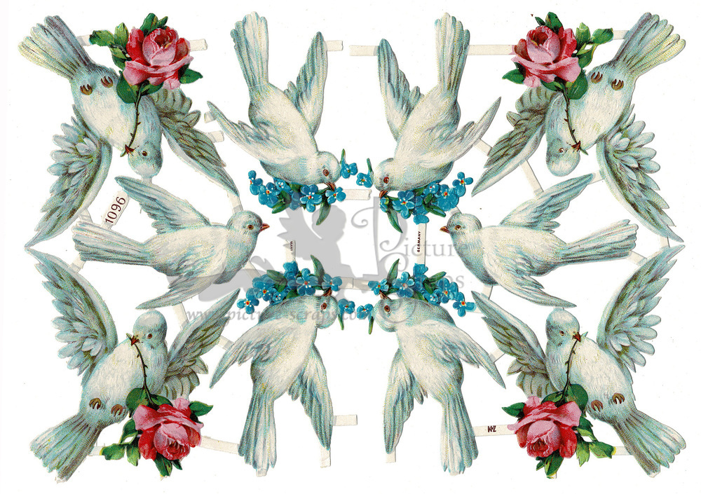 Z&M doves with flowers.jpg