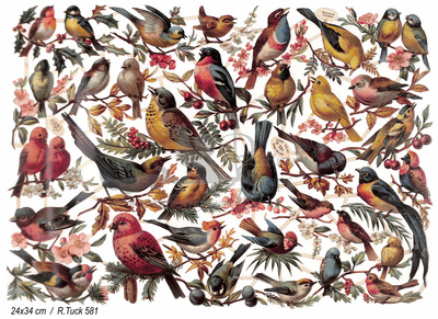 R.Tuck 581 birds.jpg