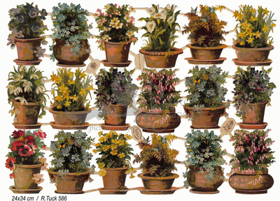 R.Tuck 586 flowers in pots.jpg