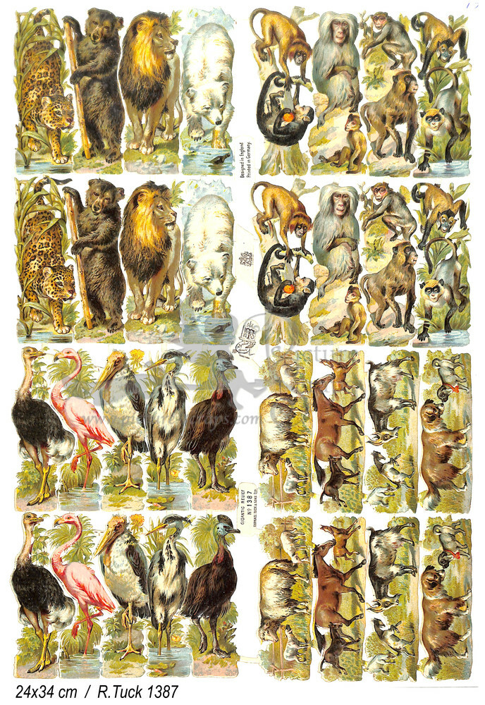 R.Tuck 1387 animals.jpg