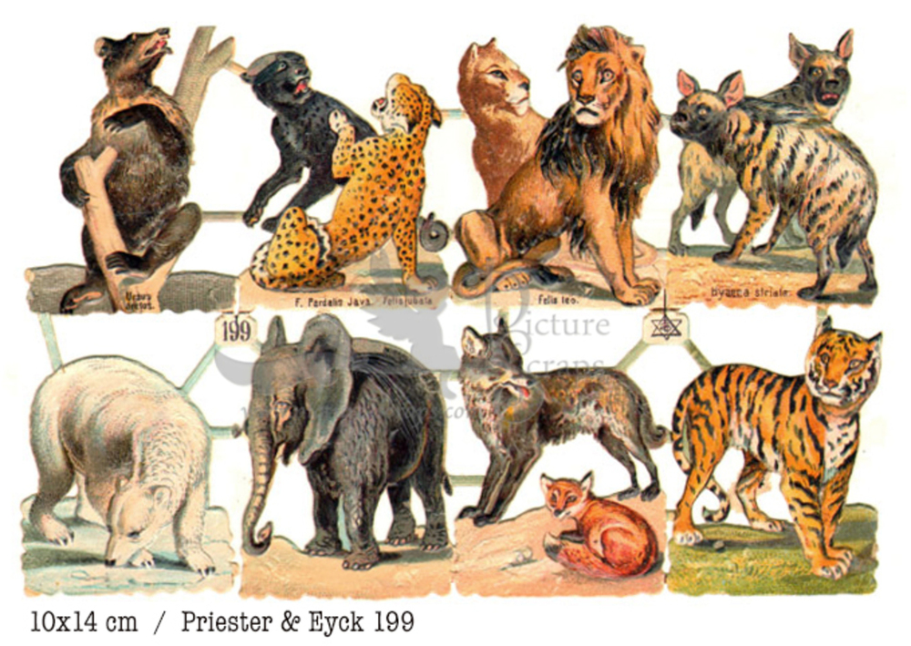 Priester & Eyck 199 wild animals.jpg