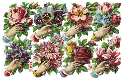 AKC 9271 hands and flowers.jpg