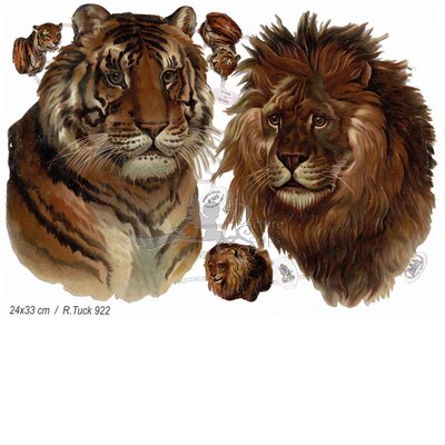 R.Tuck 922 lion and tiger on copy.jpg